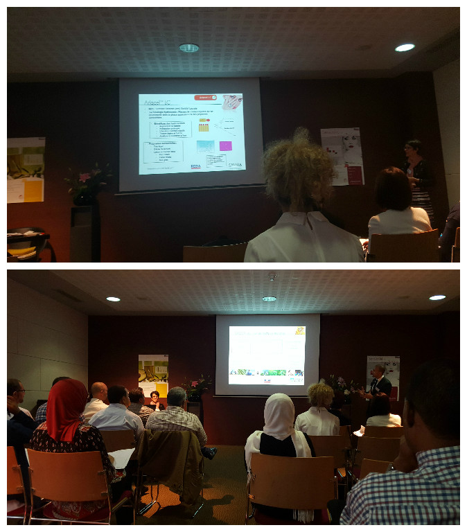 Personal Care Seminaire 2016 in Morocco
