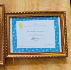 REDA-Vietnam-Ashlands-Distributor-Innovatgion-Catalyst-Award-2025-1024x1003
